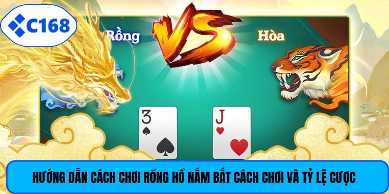 Hướng dẫn cách chơi rồng hổ nắm bắt cách chơi và tỷ lệ cược