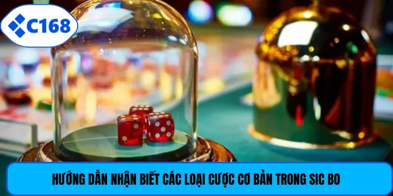 Hướng dẫn nhận biết các loại cược cơ bản trong Sic Bo