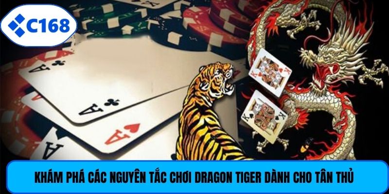 Khám phá các nguyên tắc chơi Dragon Tiger dành cho tân thủ