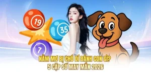 Nằm Mơ Bị Chó Dí Đánh Con Gì? 5 Cặp Số May Mắn 2026