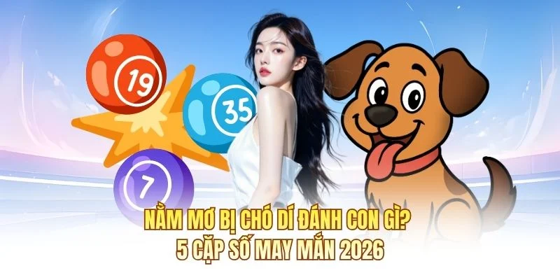 Nằm Mơ Bị Chó Dí Đánh Con Gì? 5 Cặp Số May Mắn 2026