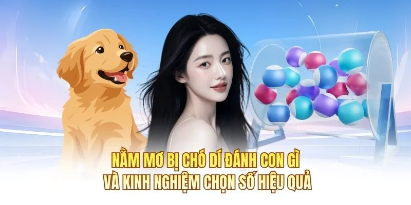 Nằm mơ bị chó dí đánh con gì và kinh nghiệm chọn số hiệu quả