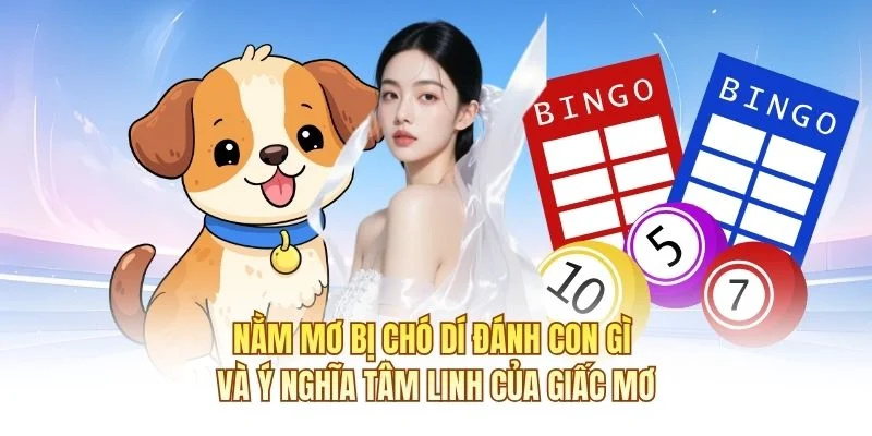 Nằm mơ bị chó dí đánh con gì và ý nghĩa tâm linh của giấc mơ