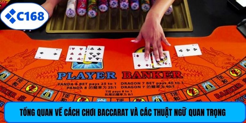 Tổng quan về cách chơi Baccarat và các thuật ngữ quan trọng